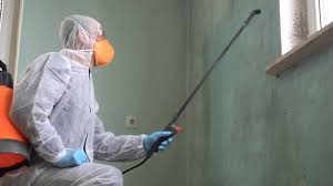 Why You Should Choose Our Mold Remediation Services in (206) 803-13630