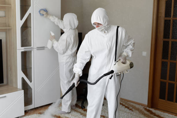 Mold Documentation for Insurance Claims in Monterey, CA