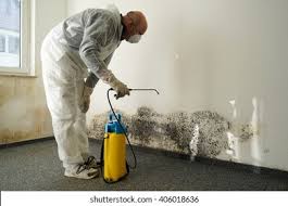 Trusted Monterey, CA Mold Remediation Experts